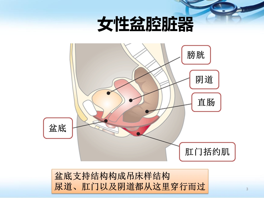 产后康复医学PPT课件.pptx_第3页