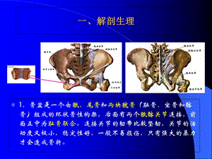 医学课骨盆骨折课件PPT文档资料.ppt