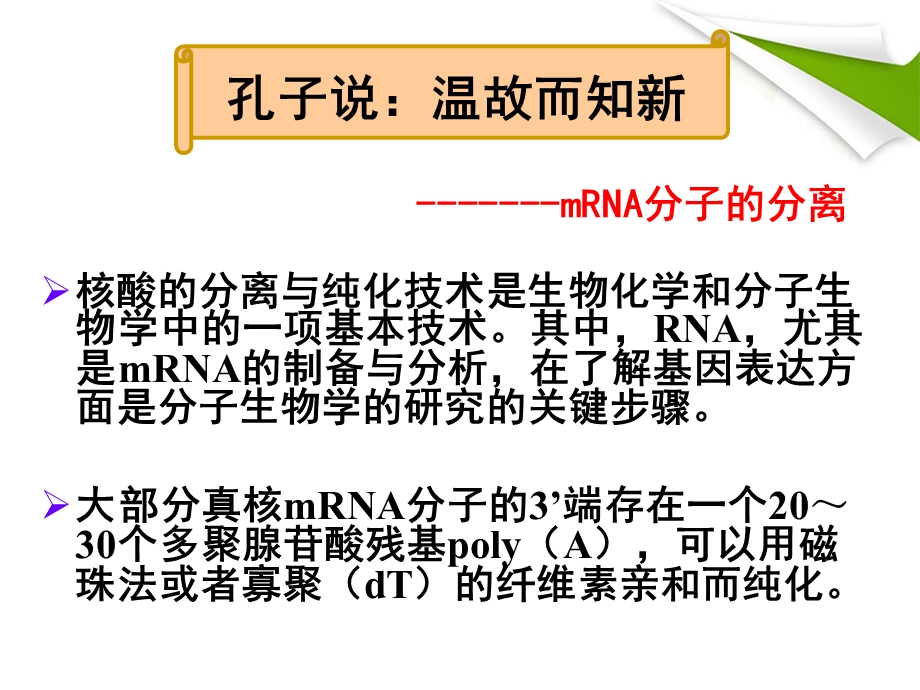 从特定的细胞中分离与核糖体结合的mRNA精选文档.ppt_第1页