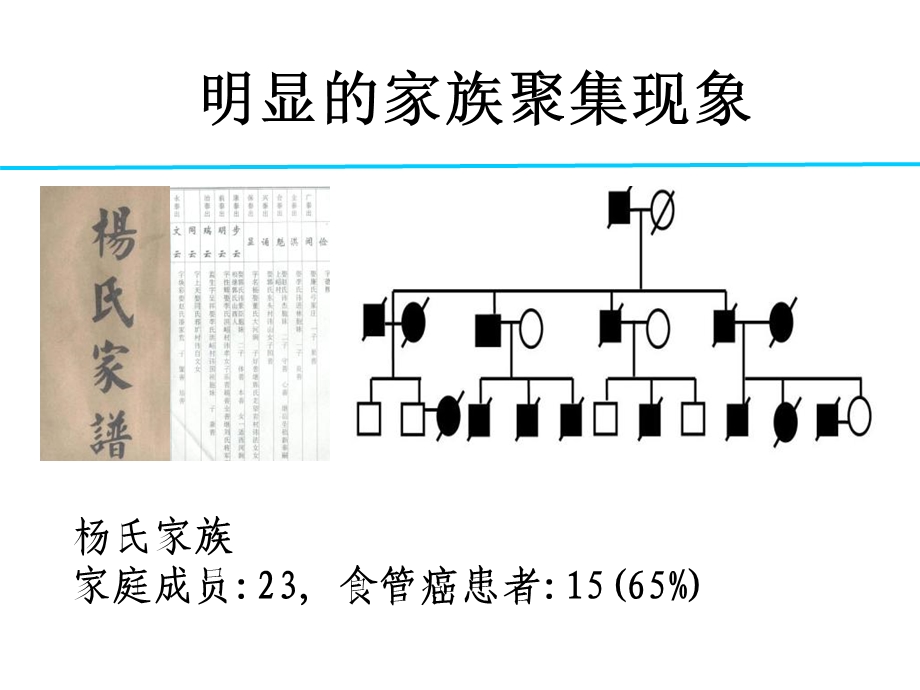 中国汉族人食管鳞状细胞癌易感基因定位研究PPT文档资料.ppt_第2页