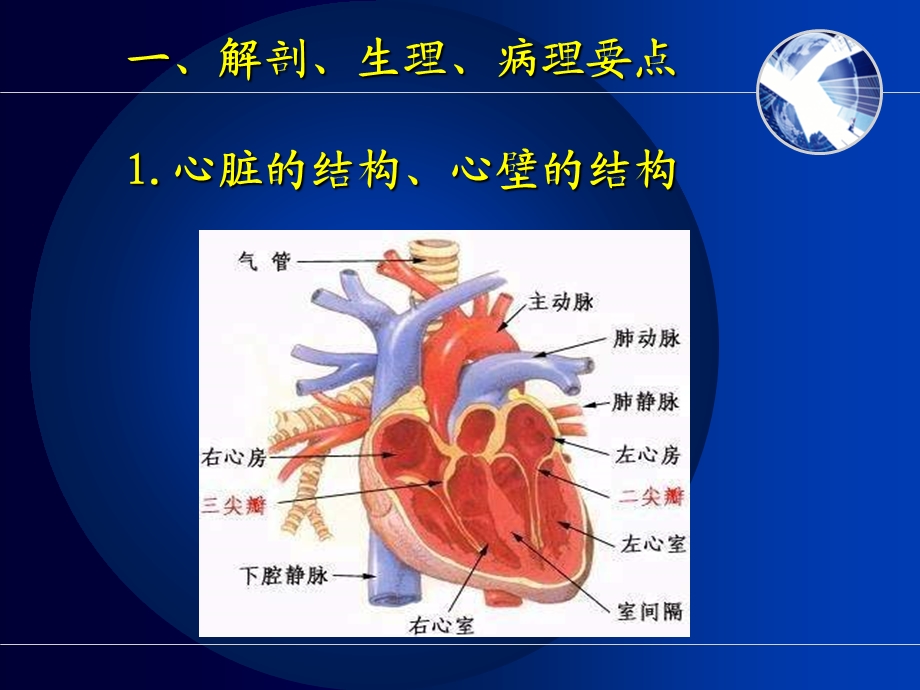 最新：循环系统疾病患者护理文档资料.ppt_第2页