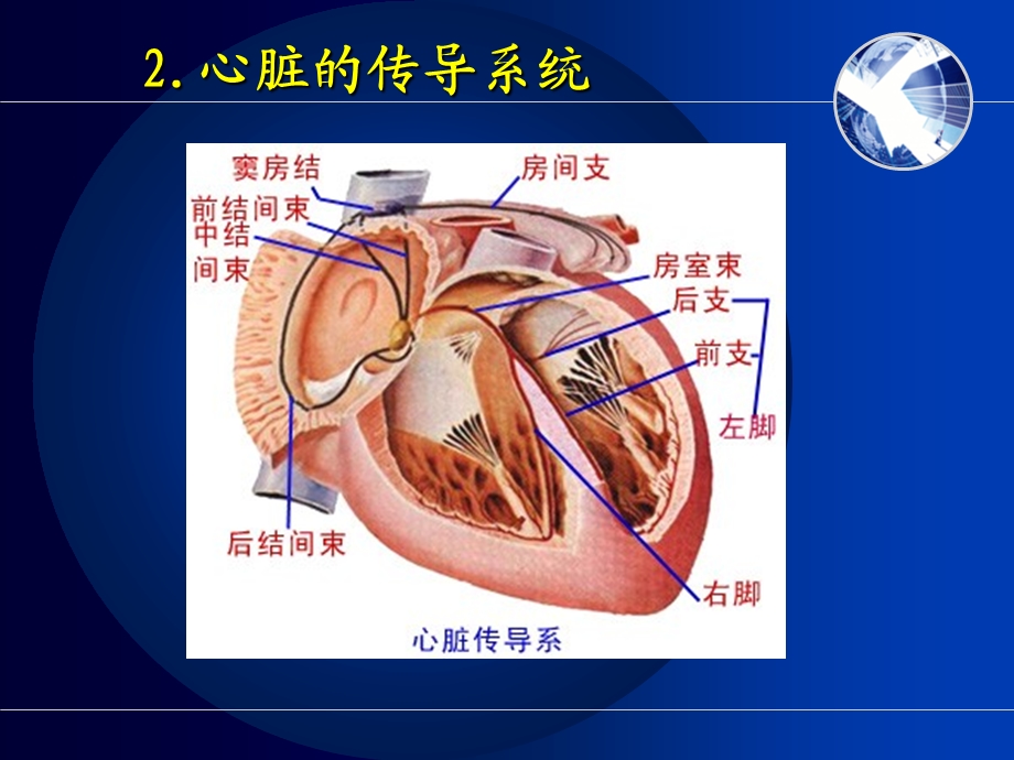 最新：循环系统疾病患者护理文档资料.ppt_第3页