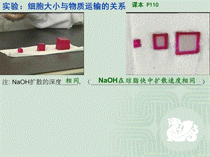 最新210细胞增殖张韶杰PPT文档.ppt