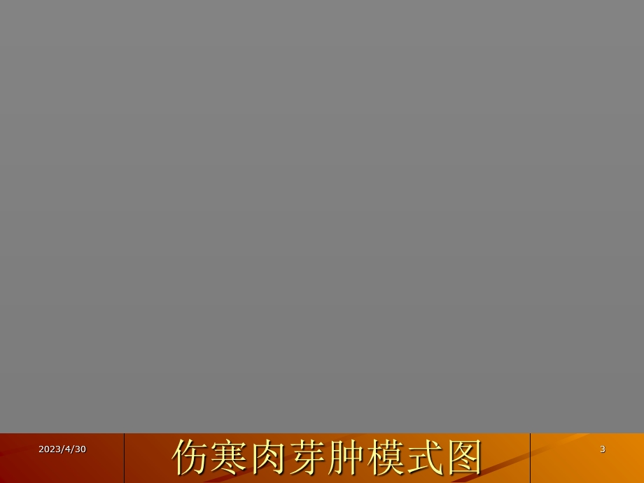 最新病理学传染病课件PPT文档.ppt_第3页