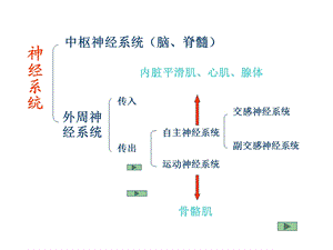 最新药理学课件传出神经系统药理PPT文档.ppt