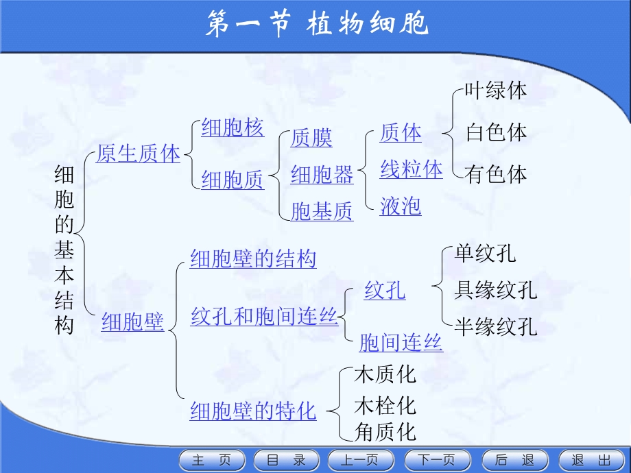 天然药物学(第二版)第一章第一节植物细胞PPT文档.ppt_第3页