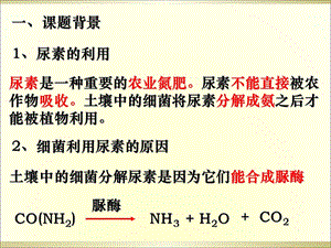 人教版教学课件选修一22土壤中分解尿素的细菌的分离与计数课件PPT课件.ppt