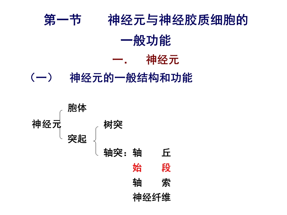 最新10第十章神经系统的功能PPT文档.ppt_第2页