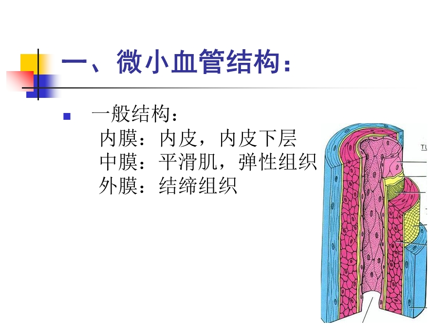 微小血管吻合技术ppt课件文档资料.ppt_第2页