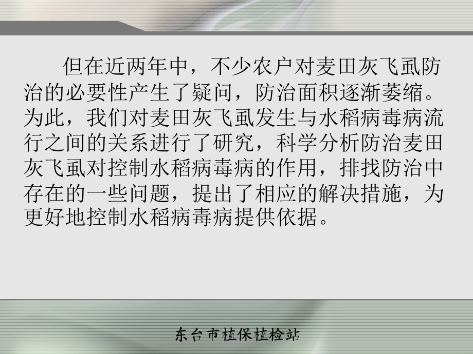 最新：东台对防治麦田灰飞虱控制水稻病毒病策略认识1文档资料.ppt_第2页