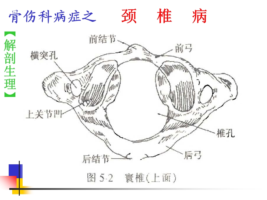 501颈椎病文档资料.ppt_第3页