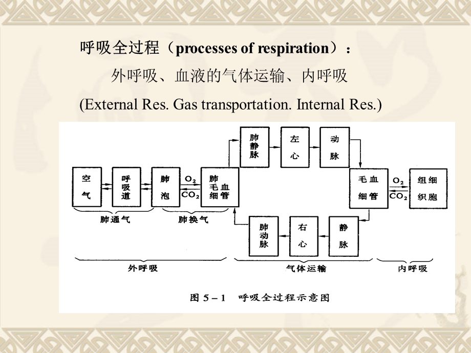 第14章呼吸衰竭名师编辑PPT课件.ppt_第2页