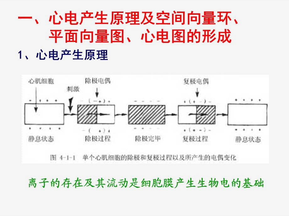 最新立体心电图研究现状PPT文档.ppt_第3页