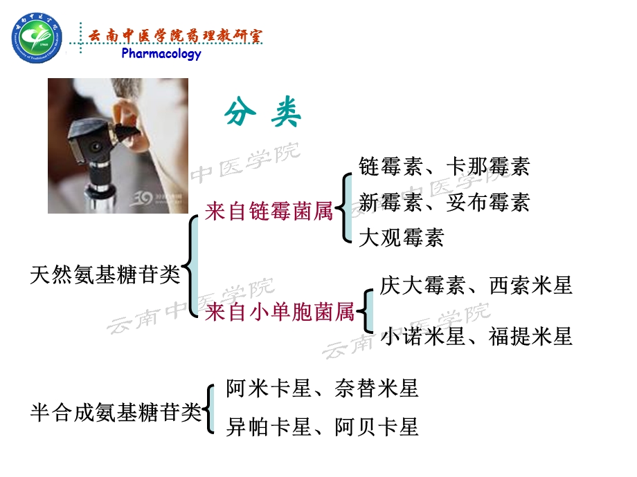 最新：氨基糖苷类抗生素药理学课件文档资料.ppt_第2页