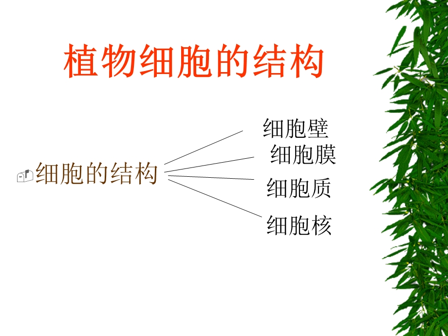 生物体的生命活动单位细胞文档资料.ppt_第2页