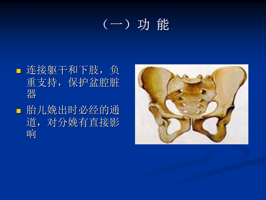 forstudents女性生殖系统解剖、生理精选文档.ppt_第3页