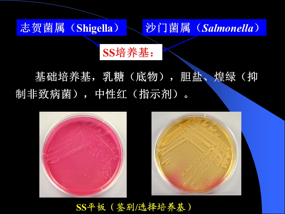 最新最新：8.消化道感染细菌护理文档资料PPT文档.ppt_第3页