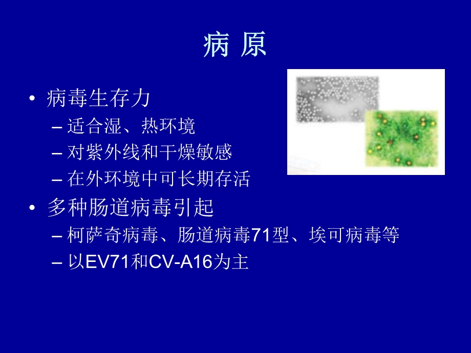 (儿科培训)手足口病PPT文档资料.ppt_第3页