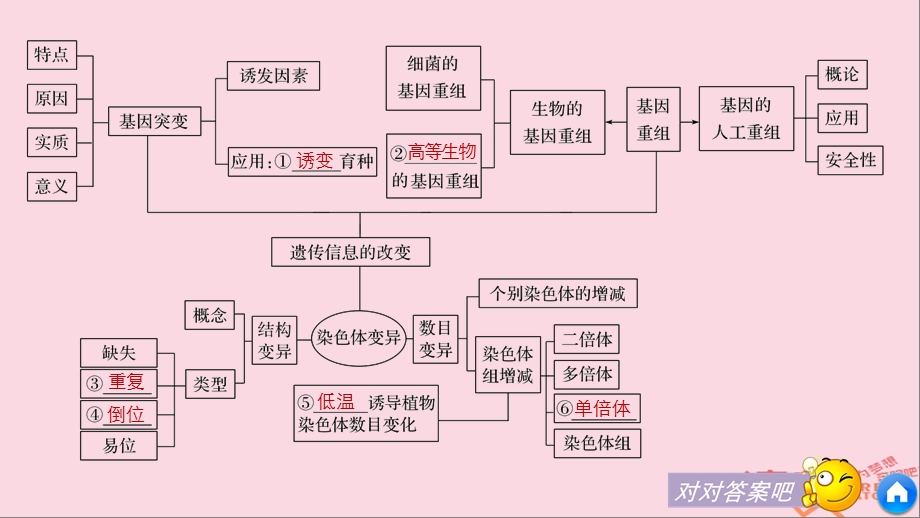 高中生物第章遗传信息的改变章末整合课件.pptx_第3页