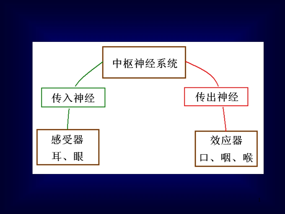 最新语言的生物基础5周围神经脑神经4PPT文档.ppt_第1页