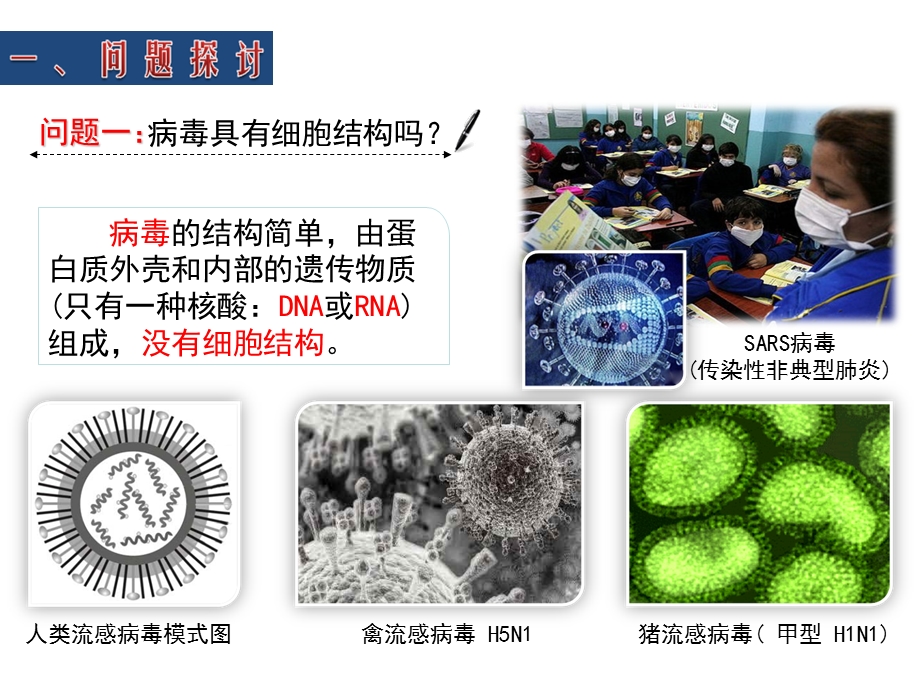 培训资料从生物圈到细胞PPT文档.ppt_第3页