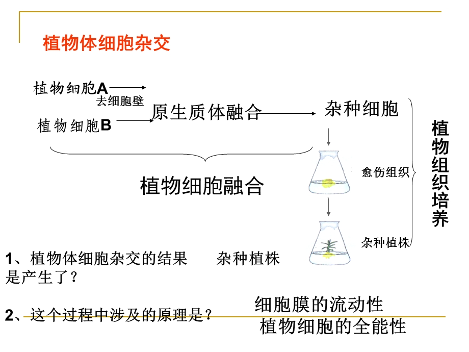 最新：人教版教学课件[名校联盟]福建省三明市泰宁一中生物选修三22动物细胞工程课件1文档资料.ppt_第1页