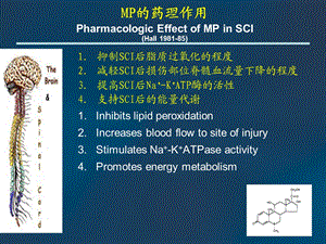 甲基强的松龙在脊柱非创伤性疾病治疗中的应用精选文档.ppt