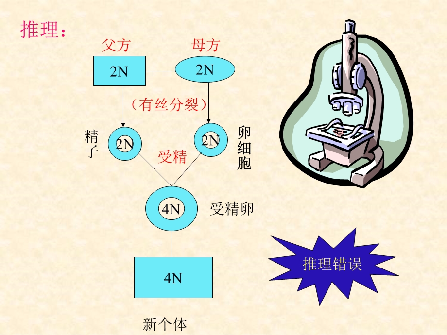 减数分裂与有性生殖细胞的成熟PPT课件.ppt_第2页