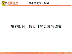 最新全优课堂高考生物一轮配套课件：8.27通过神经系统的调节PPT文档.ppt