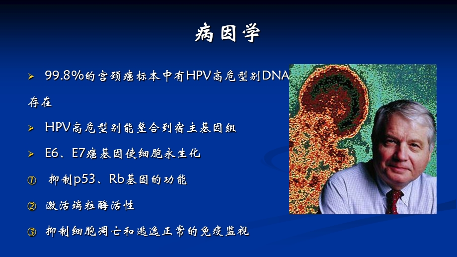 宫颈癌贾朝阳精选文档.ppt_第3页