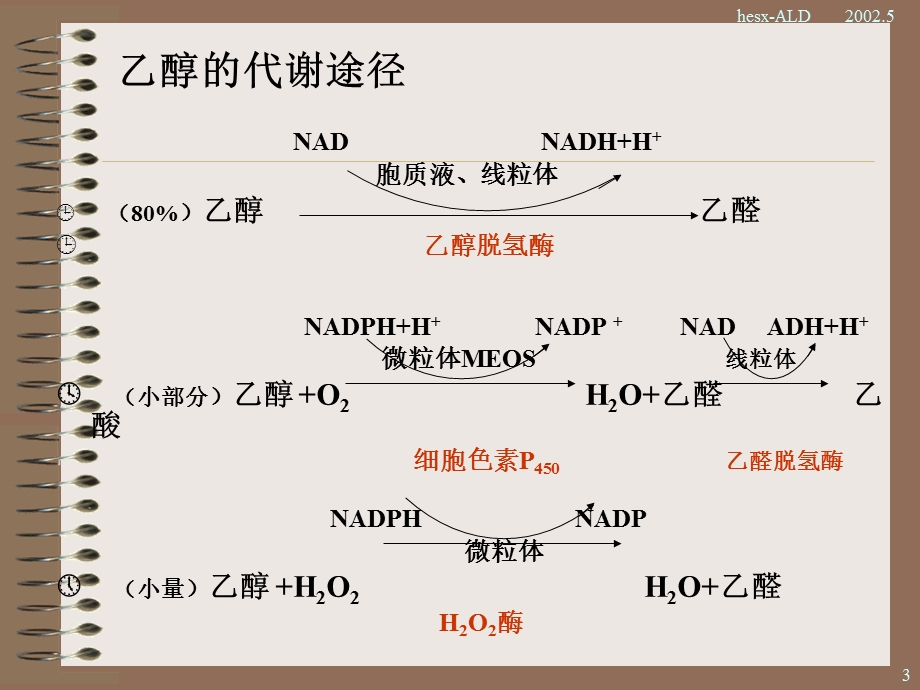 最新酒精性肝病PPT文档.ppt_第3页