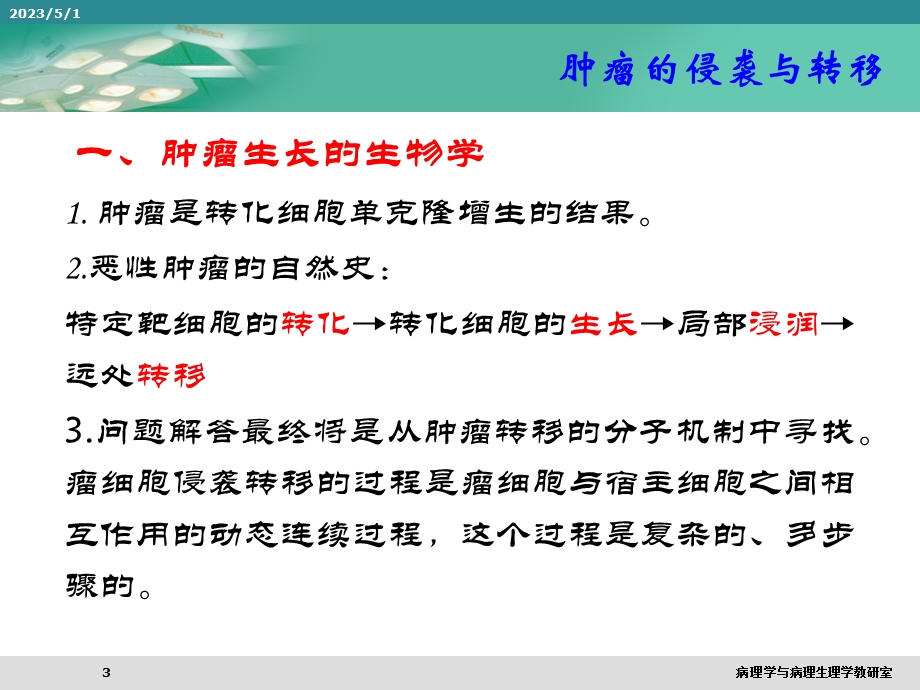 最新肿瘤的侵袭与转移PPT文档.ppt_第3页