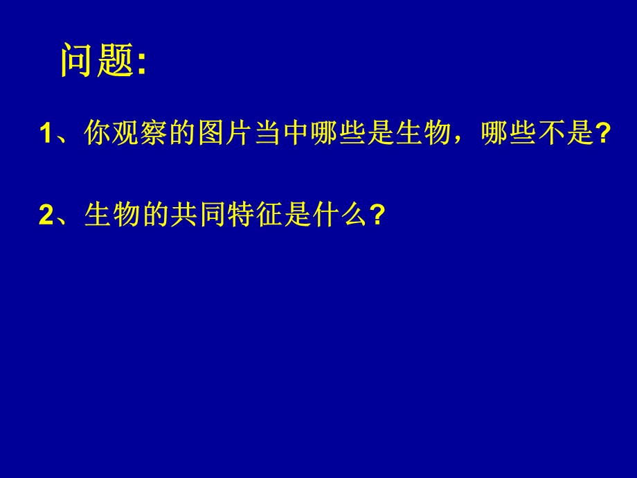 北师大版七上第3章第1节细胞的基本结构和功能1文档资料.ppt_第1页