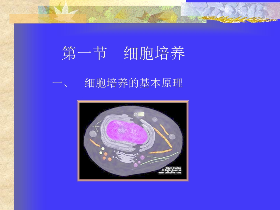 口腔细菌的培养及应用文档资料.ppt_第1页