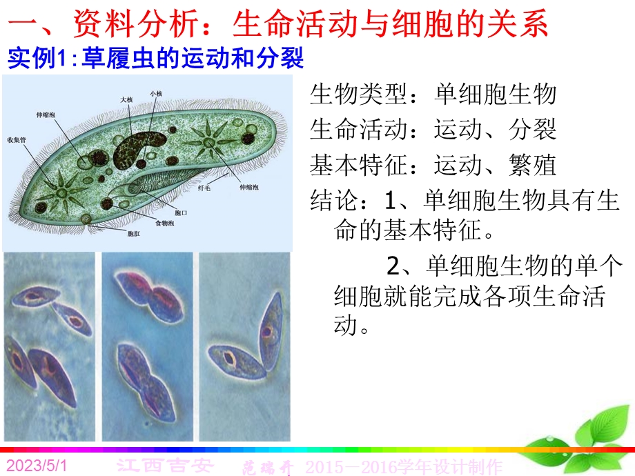 最新：第一走近细胞文档资料.ppt_第2页