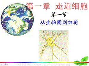 最新：第一走近细胞文档资料.ppt