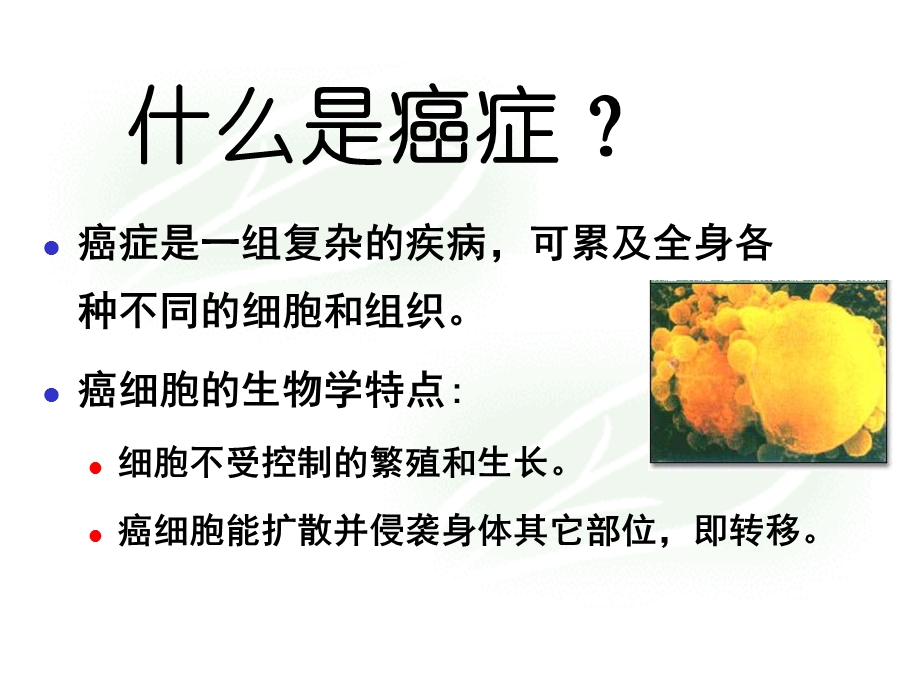 抗恶性肿瘤药物临床应用PPT文档.ppt_第1页