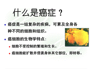 抗恶性肿瘤药物临床应用PPT文档.ppt