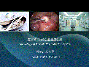 八年制妇产科学3章PPT文档资料.ppt