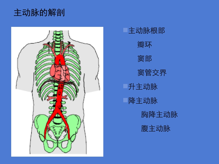 大血管疾病超声诊断PPT文档.ppt_第1页