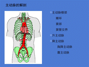 大血管疾病超声诊断PPT文档.ppt