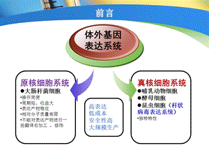 昆虫杆状病毒载体文档资料.ppt