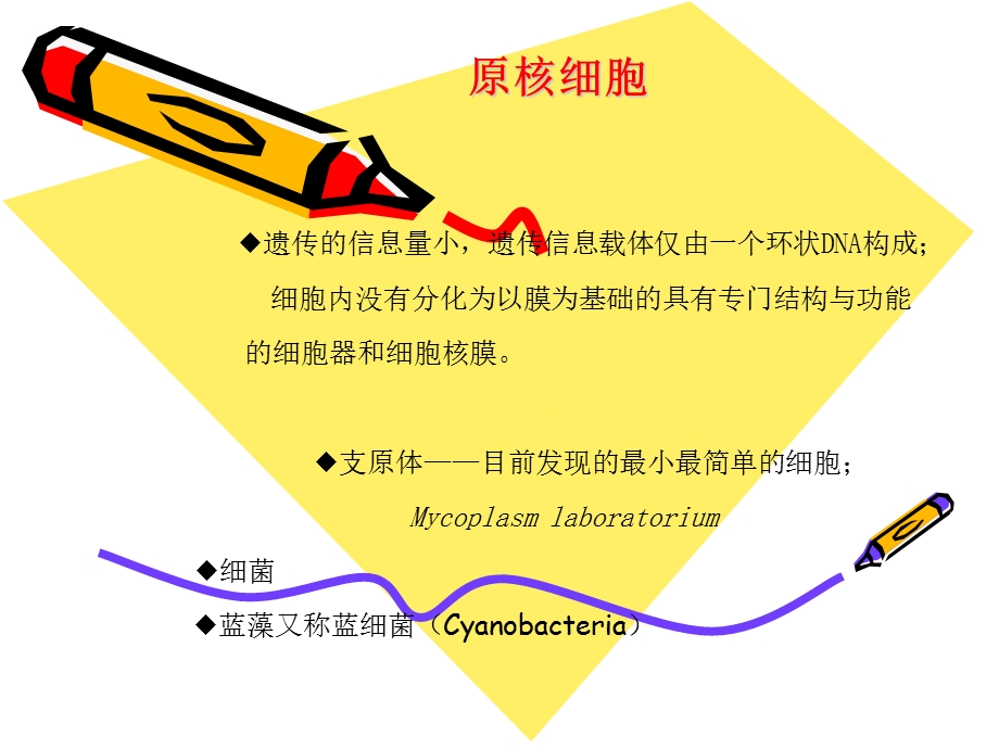 原核细胞和真核细胞大比较文档资料.ppt_第3页