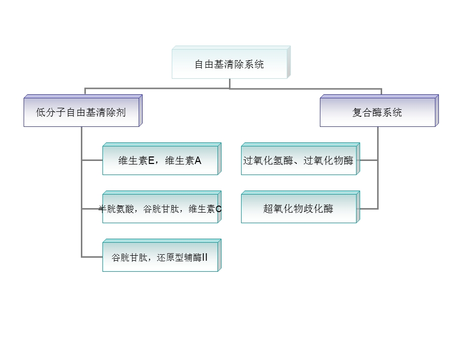 最新细胞内的抗衰老物质之PPT文档.ppt_第1页