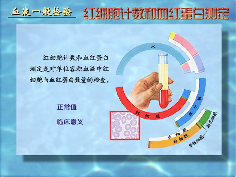 最新：诊断学实诊断文档资料.ppt_第1页