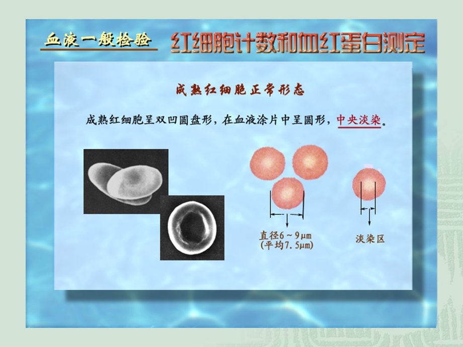 最新：诊断学实诊断文档资料.ppt_第2页