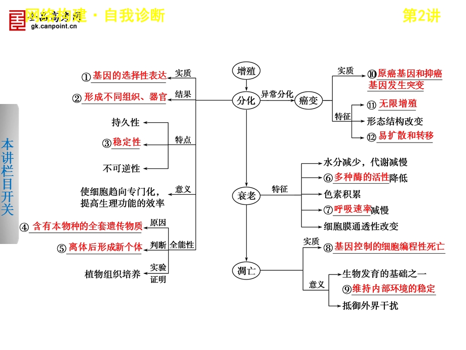 步步高高考生物二轮课件：32细胞的分化、衰老、凋亡和癌变精选文档.ppt_第2页