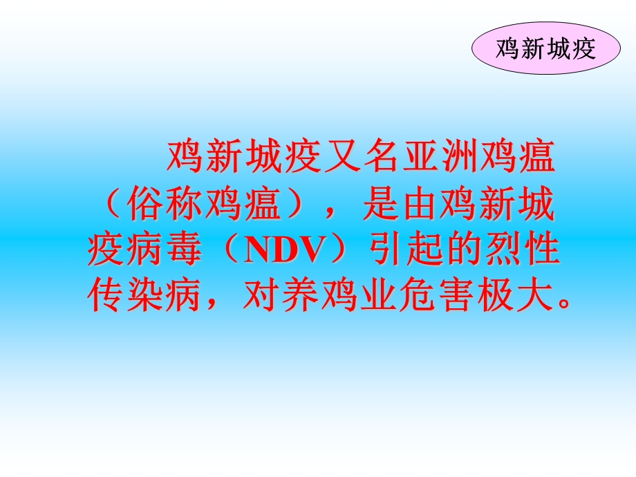 最新禽病学禽病临床诊断彩色图谱01鸡新城疫西南民族大学PPT文档.ppt_第1页