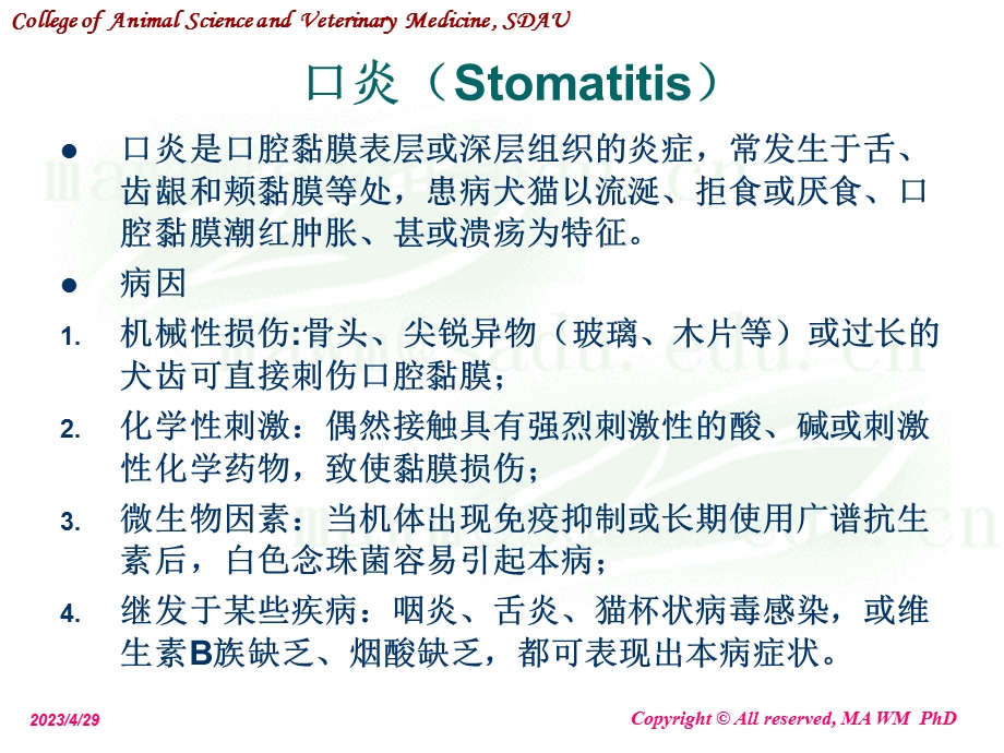 最新动物外科学消化系统疾病课件PPT文档.ppt_第1页