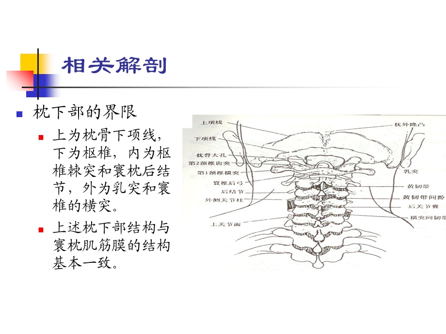 寰枕后肌筋膜挛缩型颈椎病课件文档资料.ppt_第2页